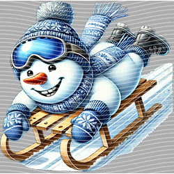 Christmas-ADJ 12569